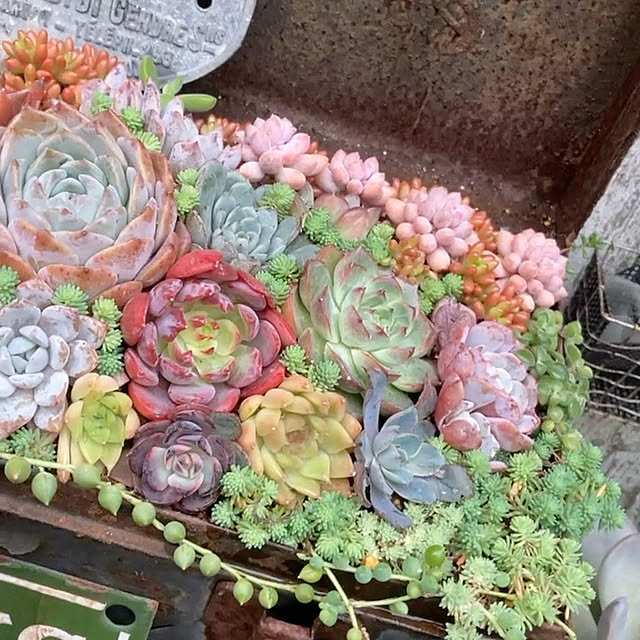 shhさんの部屋