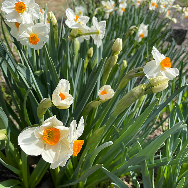 natsumiさんの部屋