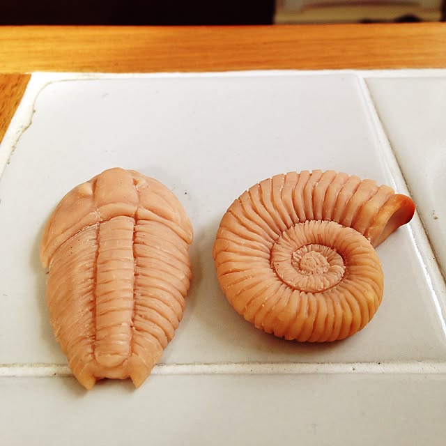 Yamamayaさんの実例写真