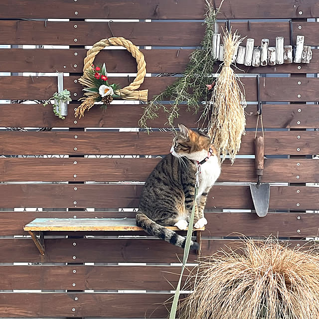 nobikoさんの部屋