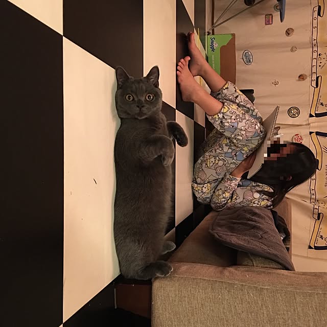 Shojiさんの実例写真