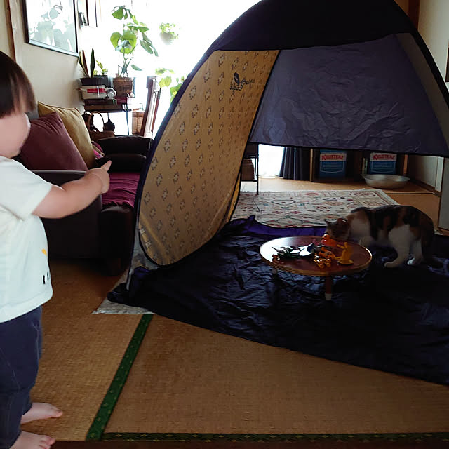 fukuさんの実例写真