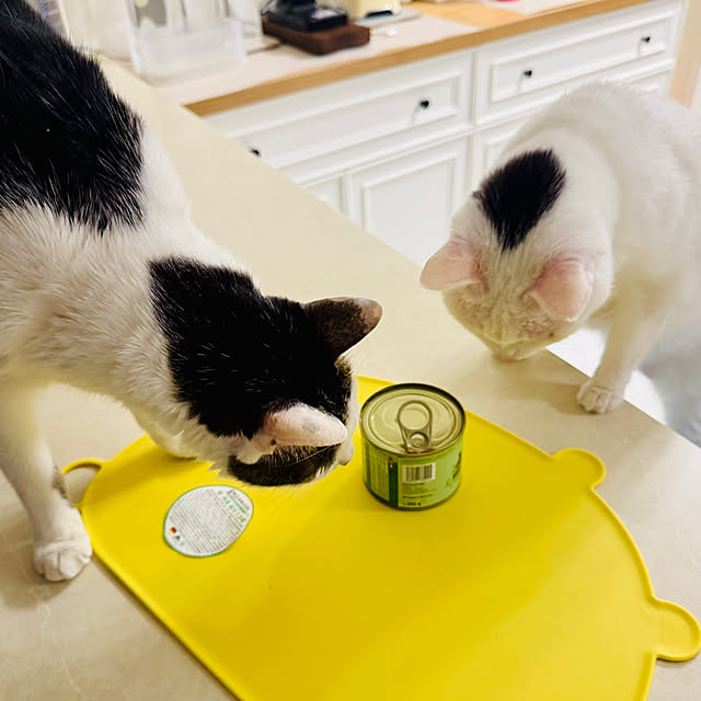 pcu110さんの部屋