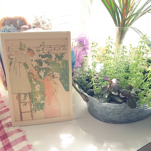 ayaco_cucirinaさんの実例写真