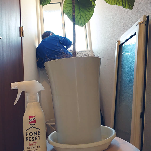 tan5さんの実例写真