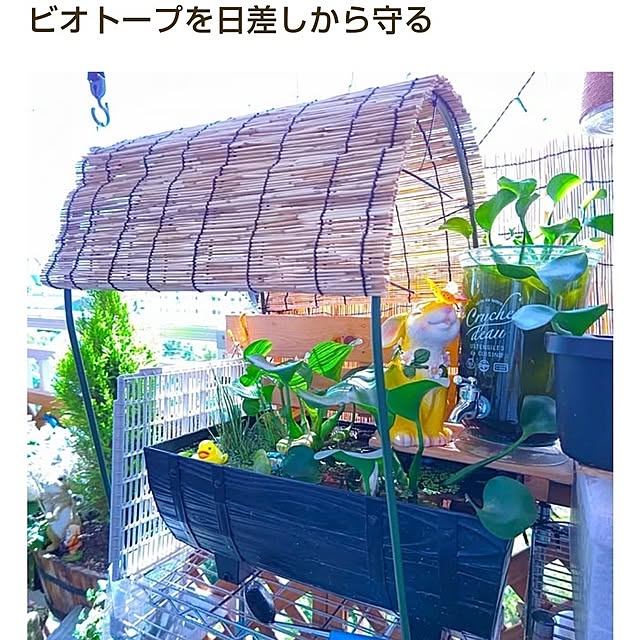 mariaさんの実例写真