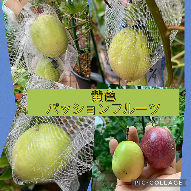 Aqettyさんの部屋
