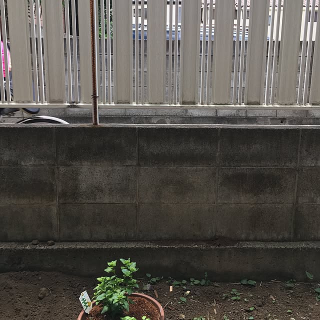 tomoさんの実例写真