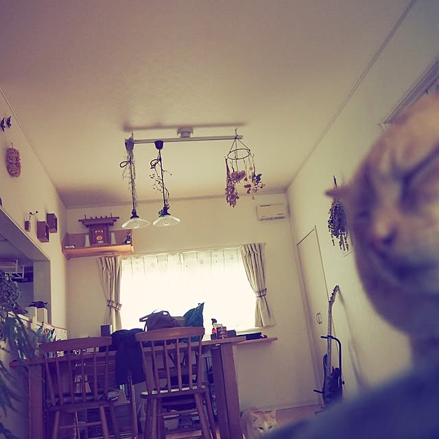 chiimalさんの実例写真