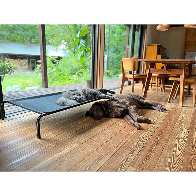 Kikko.さんの部屋