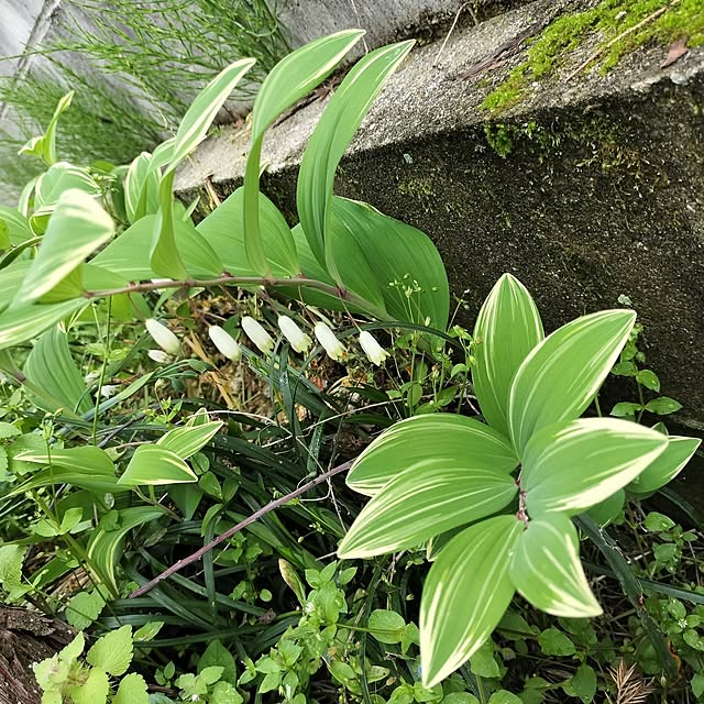 sumimarumiさんの部屋