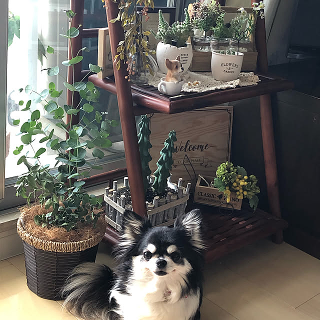 miyakoさんの実例写真