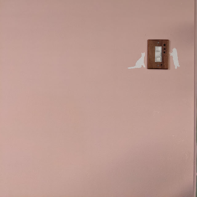 amu_latteさんの実例写真
