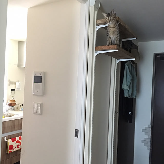 mikomaruさんの実例写真