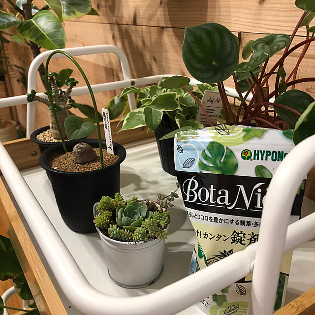 CoffeeHouseさんの部屋