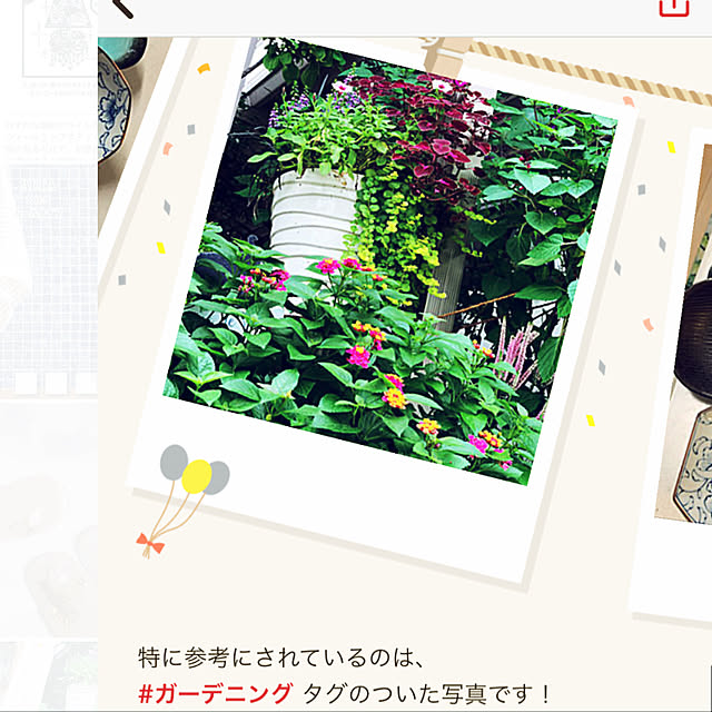 yukarin-gardenさんの実例写真