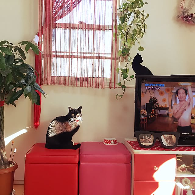 Hecacoさんの実例写真