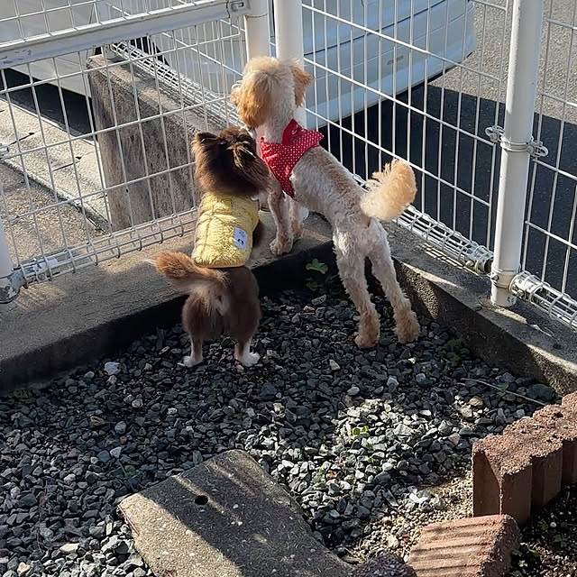 chIoeさんの部屋