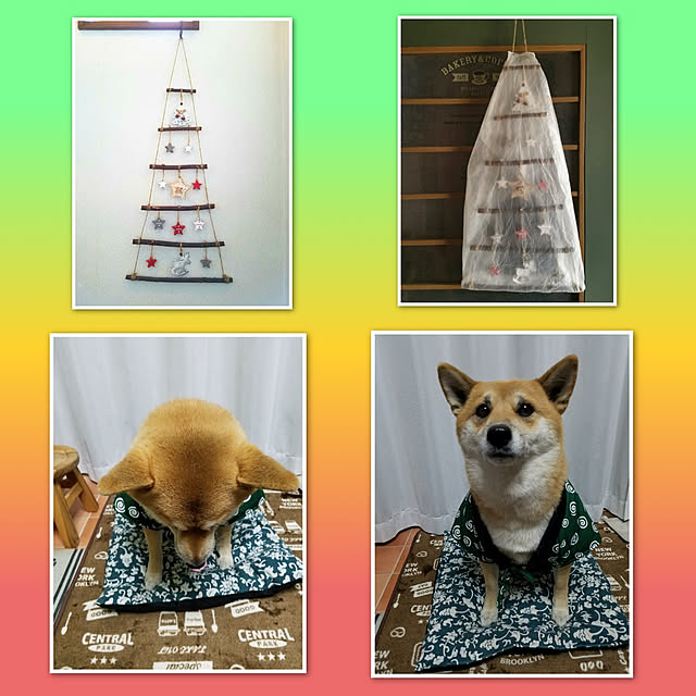 nanaさんの実例写真
