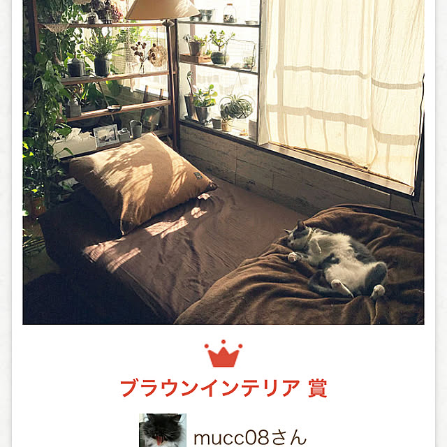 mucc08さんの実例写真