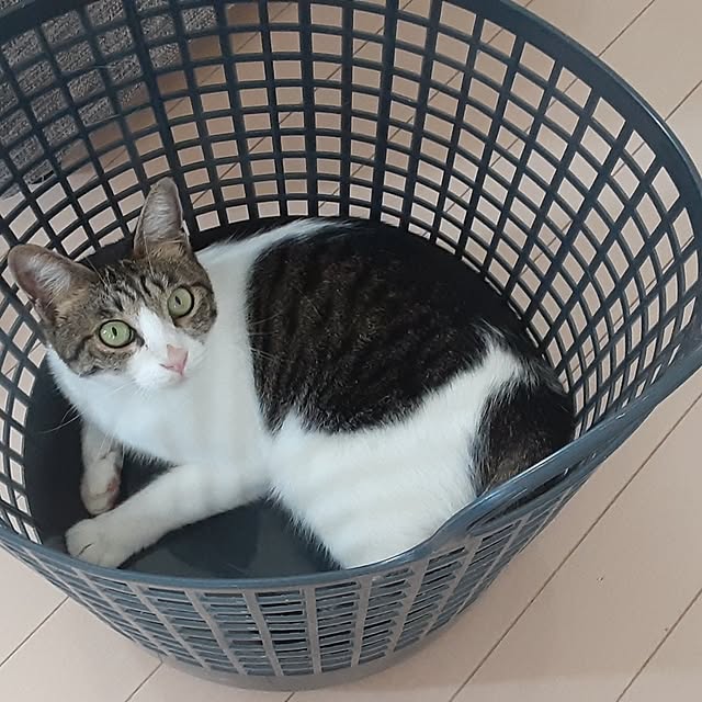 saosanさんの部屋