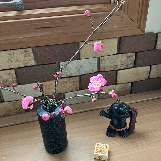 ikubooさんの実例写真