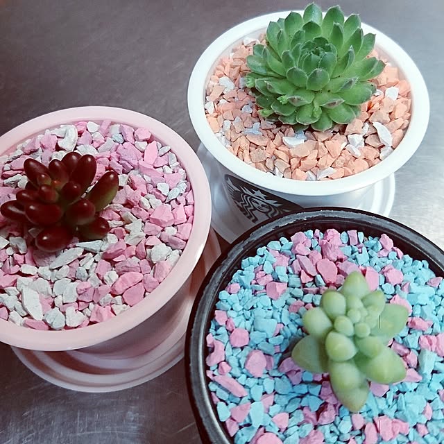 mimamaさんの実例写真