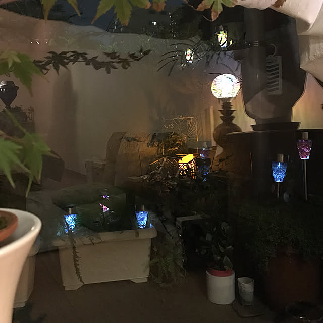 部屋全体/観葉植物のインテリア実例 - 2017-09-26 20:15:43