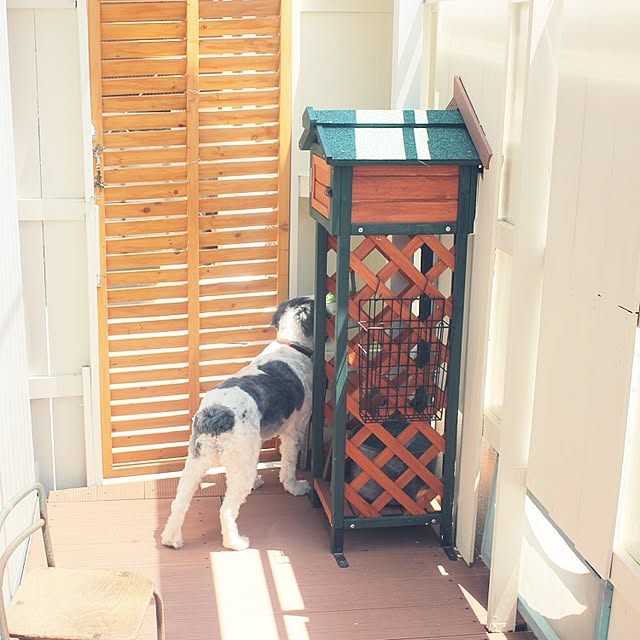 nuiさんの実例写真