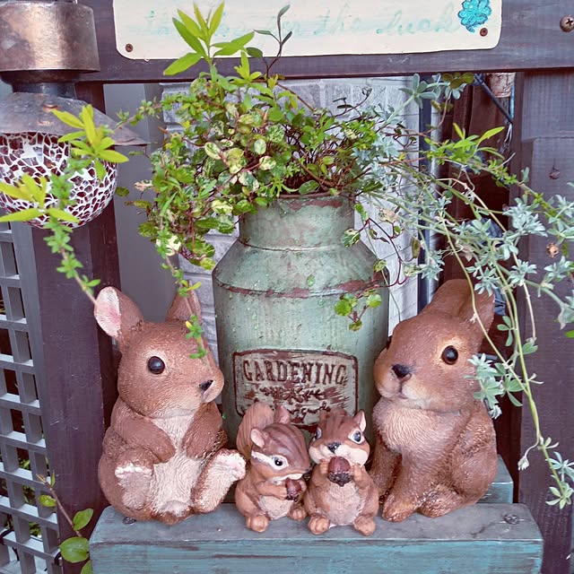 mocomocoさんの部屋