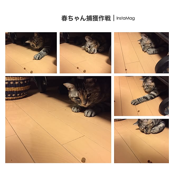 haruさんの実例写真