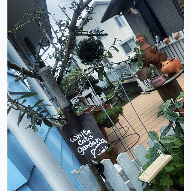 Ohigeさんの実例写真