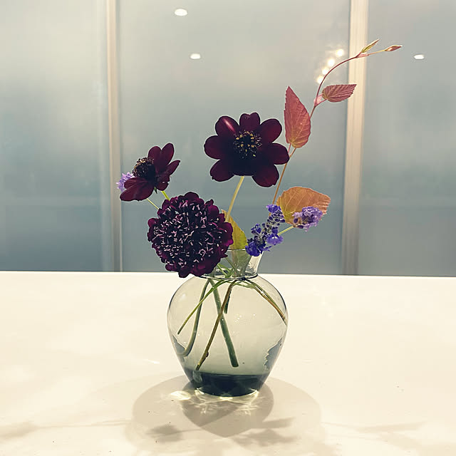 moainanoさんの実例写真