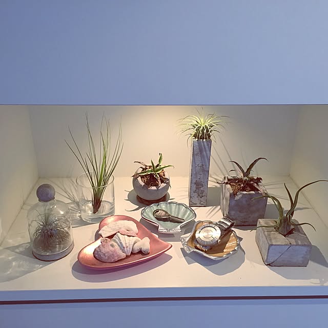 MSAさんの実例写真