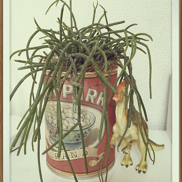 1031yokoさんの実例写真