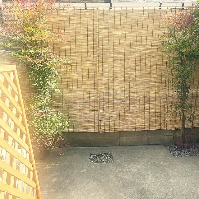 Ruriさんの実例写真