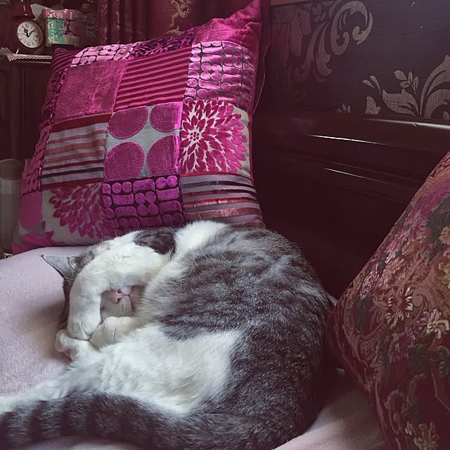 emmyyさんの実例写真
