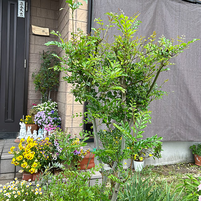 ritsukoさんの部屋