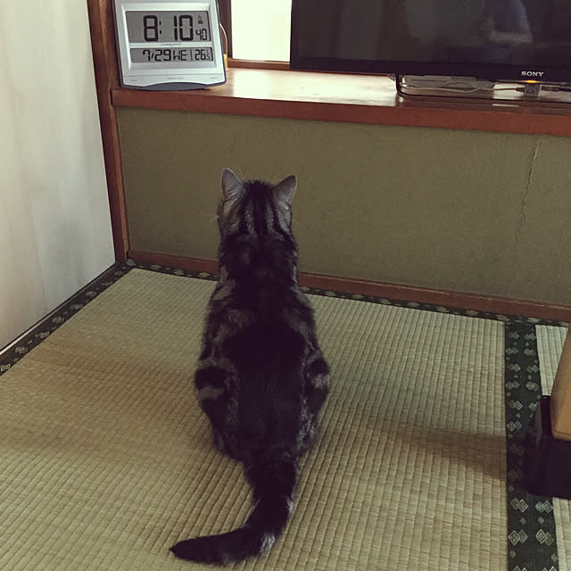 richanさんの実例写真