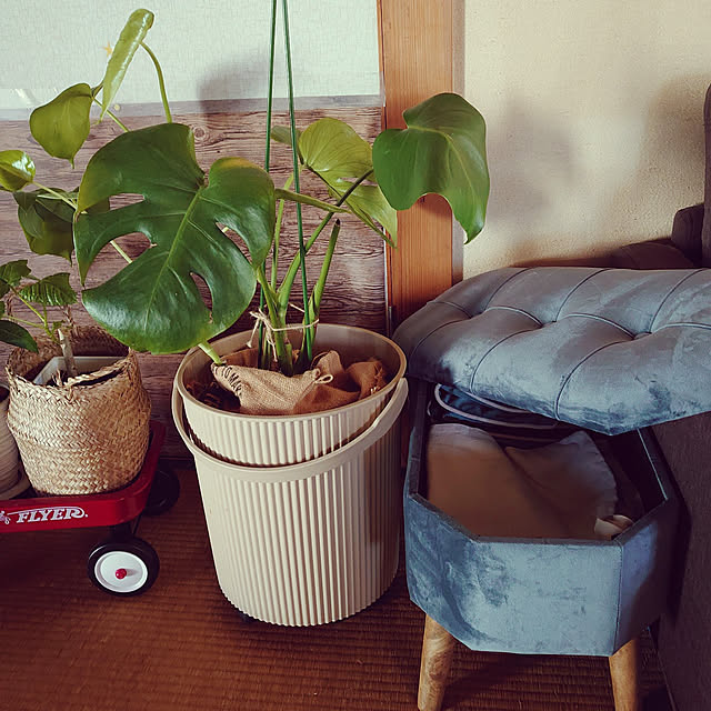 fukuさんの実例写真