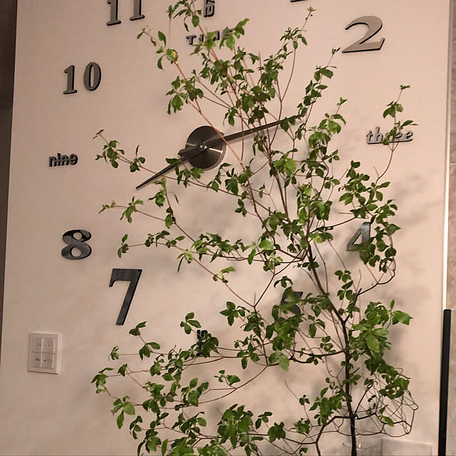 love_january24さんの実例写真