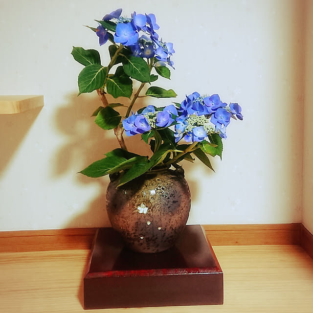 shimaさんの実例写真