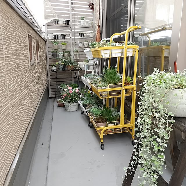 meiさんの部屋