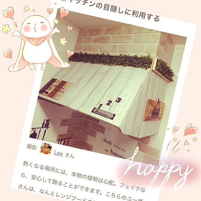 Leeさんの実例写真