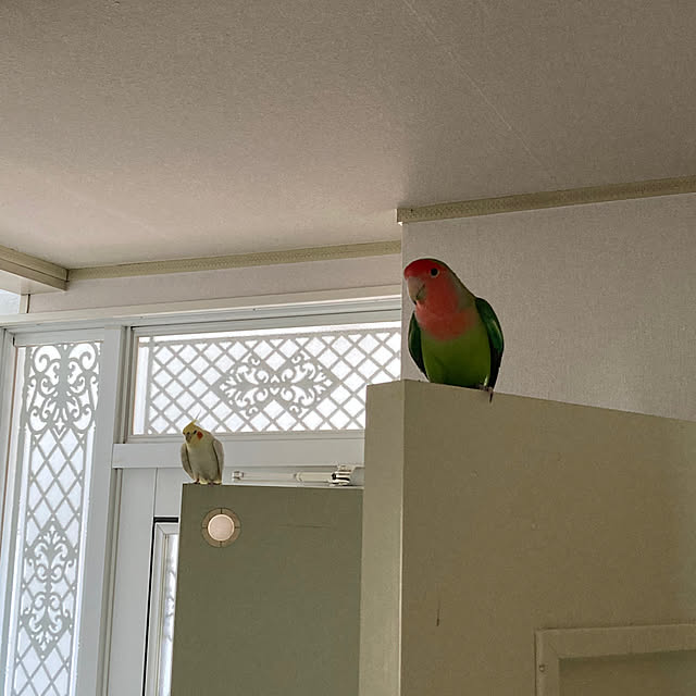 toratanさんの部屋