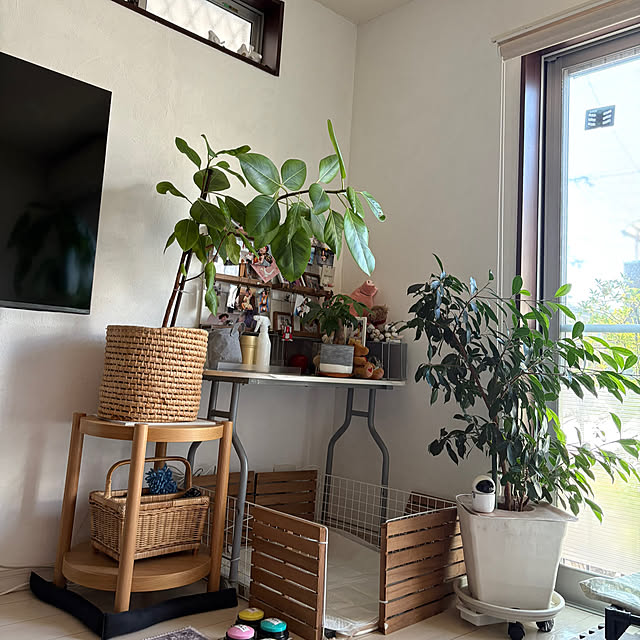 alchoさんの部屋