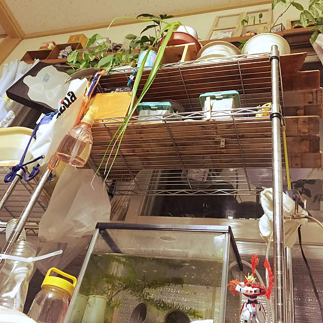 akihara02さんの実例写真