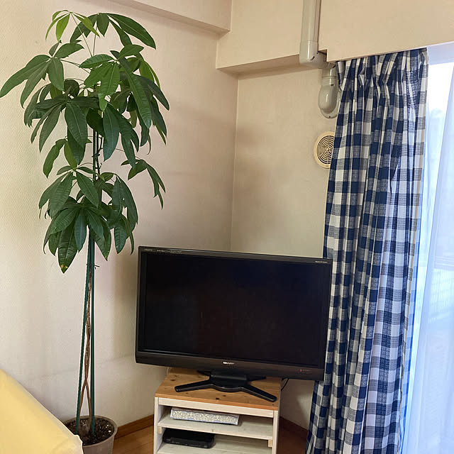 mihoさんの実例写真