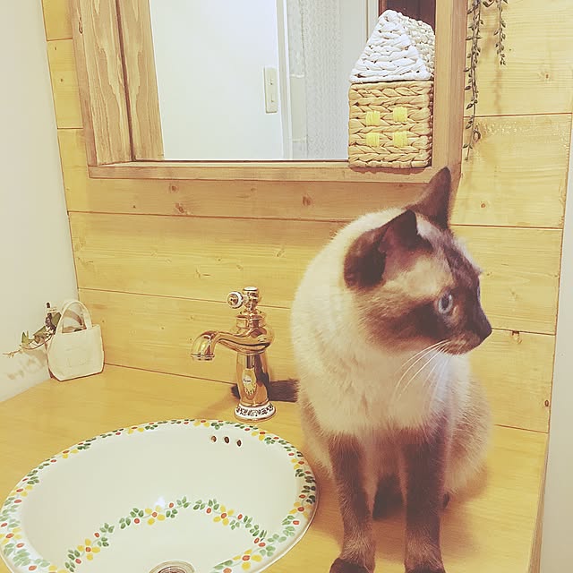 mintcatさんの実例写真