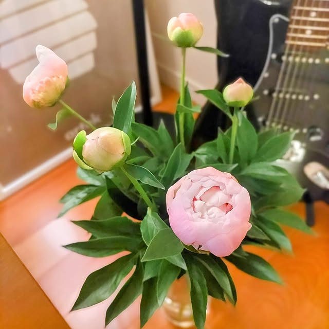 Haさんの部屋